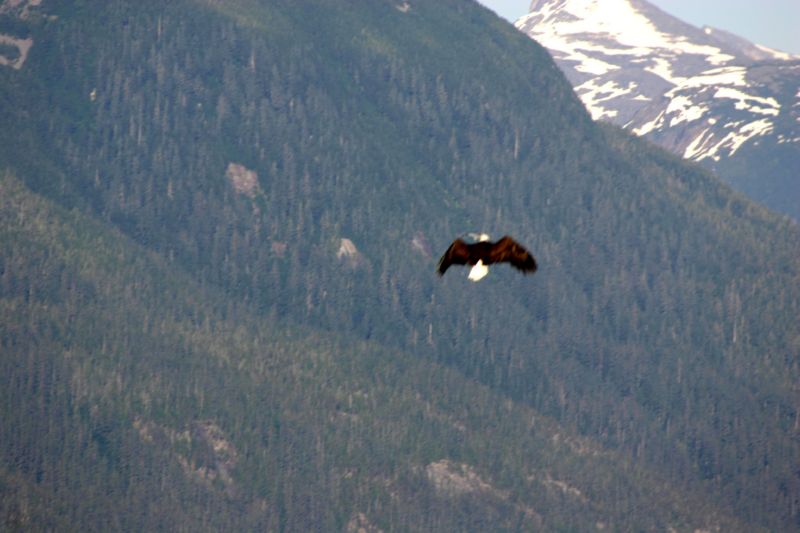 062404 Haines AK (10080)